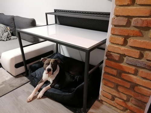 foto-23